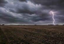 Nubosidad, frío y tormentas: el campo argentino enfrenta tres días complicados entre el miércoles y el viernes Relámpago iluminando un campo agrícola de la región pampeana bajo un cielo cubierto por densas nubes de tormenta, con rastrojo de cultivo y ambiente invernal en una amplia llanura rural argentina