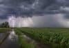 Lluvias de hasta 70 mm y tormentas fuertes avanzan sobre zonas agrícolas de siete provincias Tormenta severa sobre un campo agrícola argentino con lluvia intensa, relámpagos, camino rural anegado y cultivos afectados por el viento