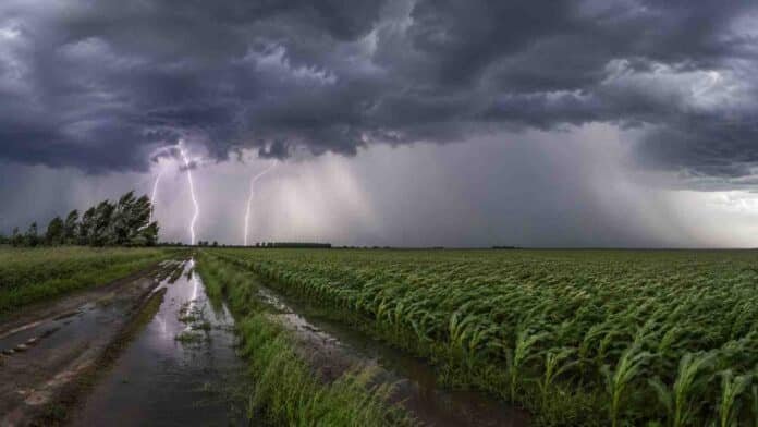 Tormenta severa sobre un campo agrícola argentino con lluvia intensa, relámpagos, camino rural anegado y cultivos afectados por el viento