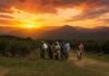 Desde julio sube la prestación por desempleo del RENATRE: máximo de $395.000 para trabajadores rurales Trabajadores rurales caminando por un campo al atardecer, entre cultivos y montañas, bajo un cielo cálido de tonos naranjas.