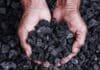 Biocarbón: el residuo que puede transformarse en una herramienta clave para capturar carbono en Argentina