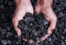 Biocarbón: el residuo que puede transformarse en una herramienta clave para capturar carbono en Argentina