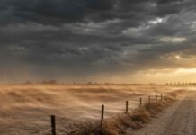 El SMN advierte por vientos de hasta 90 km/h en la alta cordillera de Mendoza y San Juan Campo rural en San Rafael, Mendoza, bajo un intenso vendaval con cielo tormentoso, polvo levantado por el viento y luz cálida de atardecer filtrándose entre las nubes.