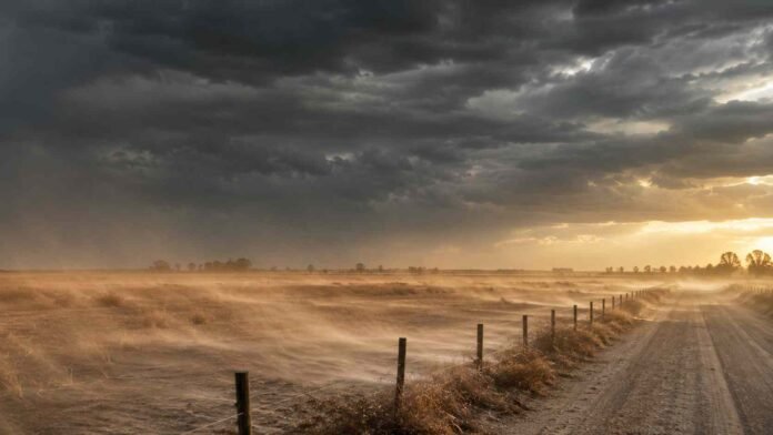 Campo rural en San Rafael, Mendoza, bajo un intenso vendaval con cielo tormentoso, polvo levantado por el viento y luz cálida de atardecer filtrándose entre las nubes.