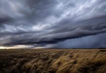 Triple alerta del SMN: tormentas en Misiones, ráfagas de 90 km/h en diez provincias y nevadas en la Patagonia Paisaje que combina tormenta eléctrica en zona selvática con estepa patagónica azotada por el viento, ilustrando la triple alerta meteorológica del SMN.