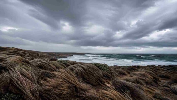 Costa patagónica bajo condiciones de viento intenso, con oleaje agitado, vegetación de la meseta doblada por las ráfagas y cielo cubierto por nubes grises de tormenta sobre el mar austral argentino.