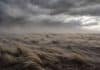 El SMN emitió doble alerta meteorológica: viento severo en seis provincias y nieve en la cordillera Fuertes ráfagas de viento barren la estepa patagónica bajo un cielo gris tormentoso, inclinando los pastizales y levantando polvo sobre el terreno en una escena de clima extremo y aislamiento.