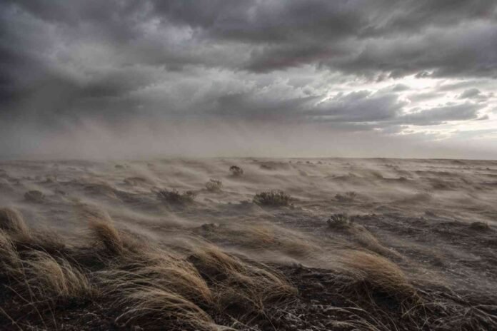 viento-fuerte-estepa-patagonica-ruralnet Fuertes ráfagas de viento barren la estepa patagónica bajo un cielo gris tormentoso, inclinando los pastizales y levantando polvo sobre el terreno en una escena de clima extremo y aislamiento.