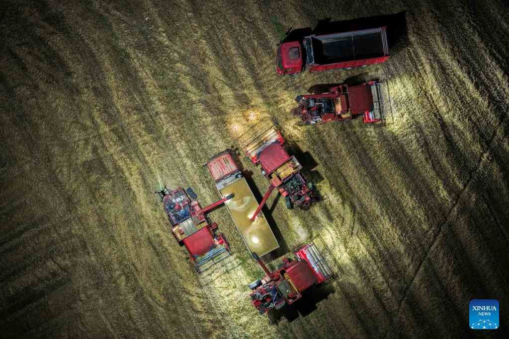 Vista aérea de varias cosechadoras y camiones trabajando en la cosecha nocturna de trigo en la provincia de Anhui, China, bajo la iluminación de un dron de alta potencia que permite extender las labores agrícolas durante la noche
