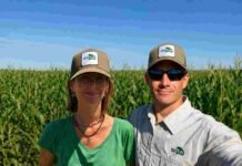 El girasol fue el cultivo del año y Zeta Semillas lo aprovechó: ahora apunta a repetirlo con el maíz Dos productores agropecuarios en un lote de maíz bajo cielo despejado.