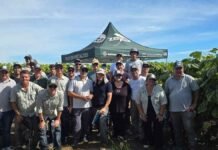 El girasol acelera su expansión y la genética aparece como la clave para llegar a 4 millones de hectáreas Equipo técnico de Zeta Semillas durante una jornada de evaluación de híbridos de girasol en un lote experimental de Argentina