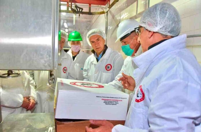 Exportación carne caprina-gentileza Personal sanitario supervisa cajas de carne caprina en un frigorífico habilitado para exportación.