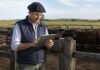 Productores deberán actualizar el RENSPA: quiénes deberán hacerlo Productor ganadero actualiza datos del RENSPA en una tablet frente a un rodeo bovino.