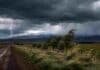 Un frente de tiempo severo activa alertas en 18 provincias Tormenta intensa con rayos, lluvias y fuertes ráfagas sobre un campo rural, con montañas nevadas en el horizonte.