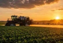 Legisladores de cuatro partidos se juntaron para discutir la ley de fitosanitarios que la Argentina no tiene Pulverizadora agrícola aplicando fitosanitarios sobre un cultivo durante el atardecer.