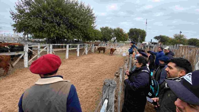 bienestar-animal-remate-hacienda-ruralnet Productores y asistentes observan bovinos en corrales durante una jornada de remate y evaluación de hacienda en un predio ganadero.