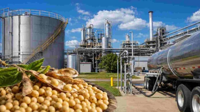 biodiesel-soja-planta-industrial-ruralnet Planta industrial de biodiésel con tanques, cañerías y soja en primer plano como materia prima para biocombustibles.