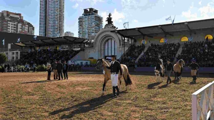 Ejemplares de Caballo Criollo ingresan a la pista central de la Exposición Rural de Palermo ante las tribunas colmadas.