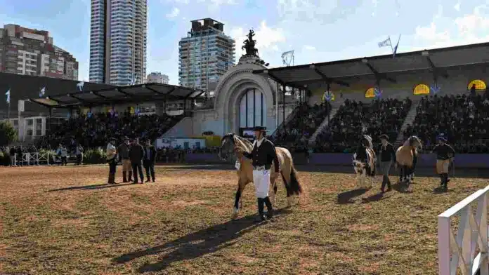 Ejemplares de Caballo Criollo ingresan a la pista central de la Exposición Rural de Palermo ante las tribunas colmadas.