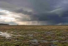 El agro enfrenta tres días de tormentas, heladas y lluvias Campo agrícola argentino con rastrojo húmedo y charcos bajo nubes de tormenta y cortinas de lluvia