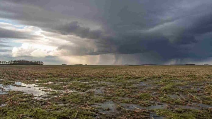 cambio-tiempo-tormentas-heladas-campo-ruralnet Campo agrícola argentino con rastrojo húmedo y charcos bajo nubes de tormenta y cortinas de lluvia