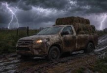 Heladas, neblinas y lluvias aisladas complicarán al campo en los próximos días Camioneta cabina simple cargada con fardos de pasto avanza por un camino rural embarrado bajo lluvia intensa y relámpagos.