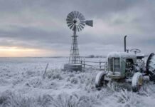 Ola polar sobre la Argentina: alertas por frío extremo en casi todo el país desde la Patagonia hasta el NOA Campo con pastura natural cubierta de nieve, molino y tractor nevados en la zona de Tres Arroyos, provincia de Buenos Aires.