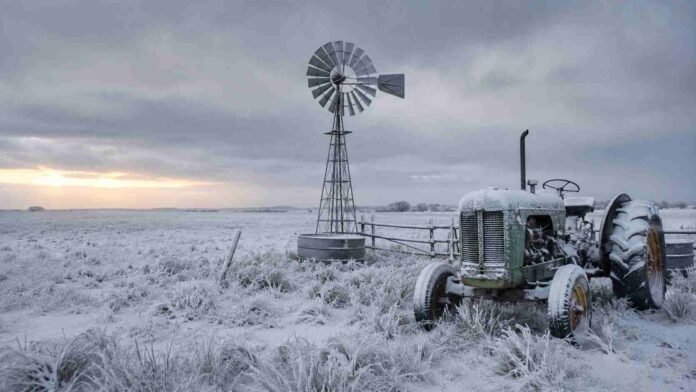 campo-nevado-tres-arroyos-ruralnet Campo con pastura natural cubierta de nieve, molino y tractor nevados en la zona de Tres Arroyos, provincia de Buenos Aires.