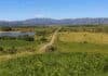San Luis atrae inversiones rurales por sus valores y potencial productivo Campo productivo mixto en San Luis, con cultivos, ganado, camino rural, reserva de agua y sierras de fondo.