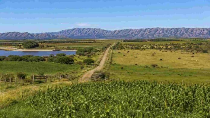campos-productivos-san-luis-sierras-ruralnet Campo productivo mixto en San Luis, con cultivos, ganado, camino rural, reserva de agua y sierras de fondo.