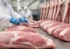 Argentina exportó más del doble de dólares en carne de cerdo que el año pasado: los números que explican el boom porcino Operarios procesan cortes de carne porcina en una planta frigorífica habilitada para exportación, con estrictos controles sanitarios e higiene.