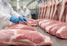 Argentina exportó más del doble de dólares en carne de cerdo que el año pasado: los números que explican el boom porcino Operarios procesan cortes de carne porcina en una planta frigorífica habilitada para exportación, con estrictos controles sanitarios e higiene.