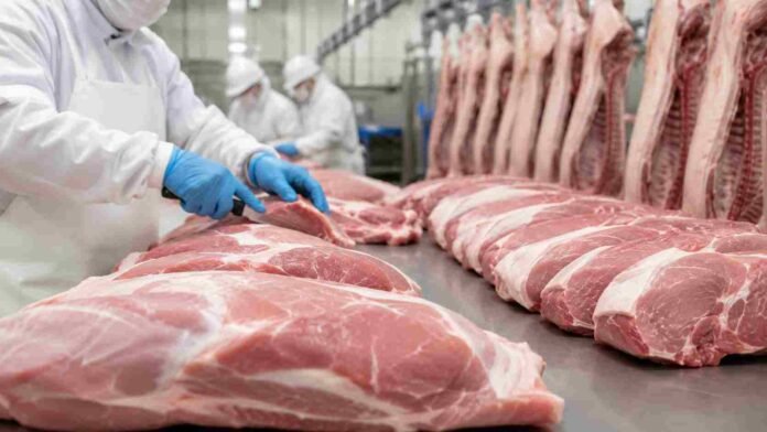 carne-porcina-exportacion-frigorifico-ruralnet Operarios procesan cortes de carne porcina en una planta frigorífica habilitada para exportación, con estrictos controles sanitarios e higiene.