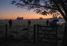 Caza ilegal en campos: el proyecto que endurece todas las sanciones Personas con perros y una camioneta ingresan a un campo privado al amanecer, en una imagen vinculada con la caza furtiva y la seguridad rural.