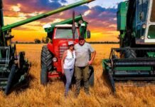 La historia de César y Stella: dos cosechadoras de los ’70 que siguen trabajando el campo