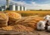 Chaco estructuró una operatoria inédita para financiar al campo Commodities agrícolas con soja, maíz, trigo y algodón en primer plano, con silos y campo productivo al fondo.