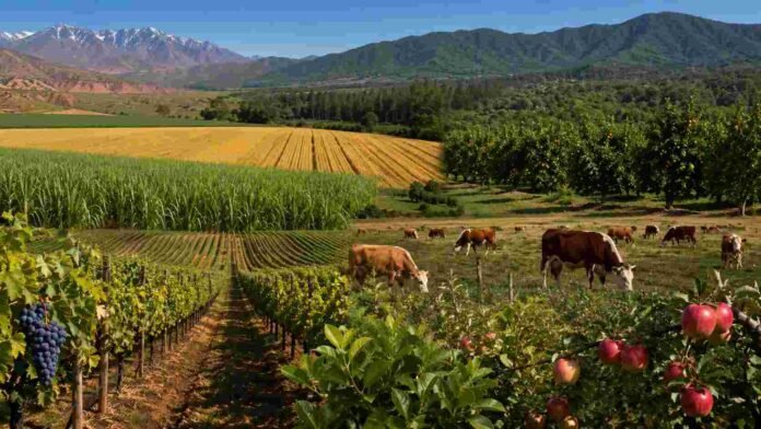 conomias-regionales-argentina-ruralnet Paisaje productivo que representa las economías regionales argentinas, con viñedos, frutales, cultivos, citrus y ganado junto a montañas.