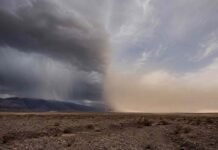 El SMN activa alertas por lluvia, viento fuerte, nieve y zonda en siete provincias Paisaje rural argentino con contraste climático: tormenta con lluvia sobre cerros cordilleranos de un lado y viento levantando tierra seca sobre una llanura árida del otro.