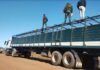 Intentó cruzar un retén con 36 vacunos y guías adulteradas: lo detuvieron en La Cruz, Corrientes Personal policial inspecciona un camión jaula utilizado para el transporte de hacienda durante un operativo de control e investigación por presunto abigeato en una zona rural.