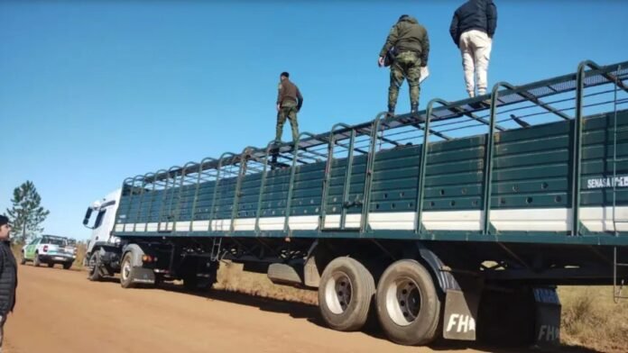 control-camion-jaula-abigeato-ruralnet Personal policial inspecciona un camión jaula utilizado para el transporte de hacienda durante un operativo de control e investigación por presunto abigeato en una zona rural.