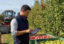 El Gobierno derogó ocho normas fitosanitarias vigentes desde los años 90 Técnico registra controles fitosanitarios con una tableta en una plantación de manzanas y peras, junto a maquinaria y cajones de fruta.