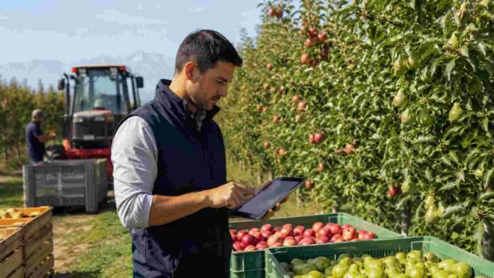 Técnico registra controles fitosanitarios con una tableta en una plantación de manzanas y peras, junto a maquinaria y cajones de fruta.