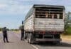 CRA denuncia trabas a la ganadería por controles viales en Formosa Control vial a un camión jaula con hacienda en una ruta de Formosa, en medio del reclamo de productores ganaderos por demoras y mayores costos.
