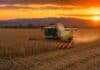 Lluvias frenan la cosecha, pero Córdoba mantiene récords en maíz y maní Cosechadora Claas recolectando maíz en un lote de Córdoba, con las sierras de fondo y cielo de atardecer
