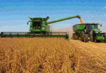 La cosecha de soja llegó al 99,1% y se mantiene la proyección de 50,1 millones de toneladas Cosechadora trabajando en un lote de soja madura durante la cosecha, con tolva y tractor en un campo agrícola argentino.