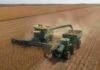 La soja cerró la campaña 2025/26 con una producción de 50,1 millones de toneladas Cosechadora y tractor con tolva autodescargable realizando la cosecha de soja en un lote de la región pampeana argentina.