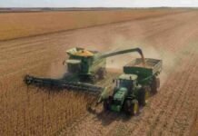 La soja cerró la campaña 2025/26 con una producción de 50,1 millones de toneladas Cosechadora y tractor con tolva autodescargable realizando la cosecha de soja en un lote de la región pampeana argentina.