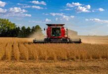 Récord histórico de producción de soja en el centro norte de Santa Fe Cosechadora Massey Ferguson trabajando en un lote de soja madura, con polvo en suspensión, cielo despejado y paisaje agrícola argentino.