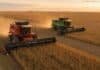 La cadena agropecuaria creció 3% en junio y marcó un nuevo récord de actividad Cosechadoras Massey Ferguson y Fendt avanzan en tándem durante la cosecha de soja en un campo argentino.