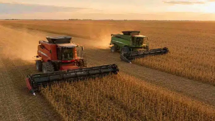 cosecha-soja-massey-ferguson-fendt-ruralnet Cosechadoras Massey Ferguson y Fendt avanzan en tándem durante la cosecha de soja en un campo argentino.